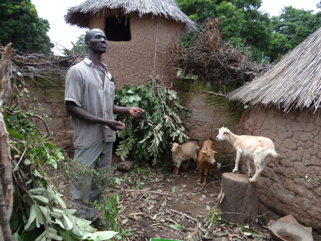 Goat farmer. Lofine, Mali