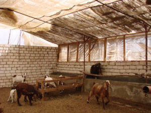 Airy and light gpat shelter