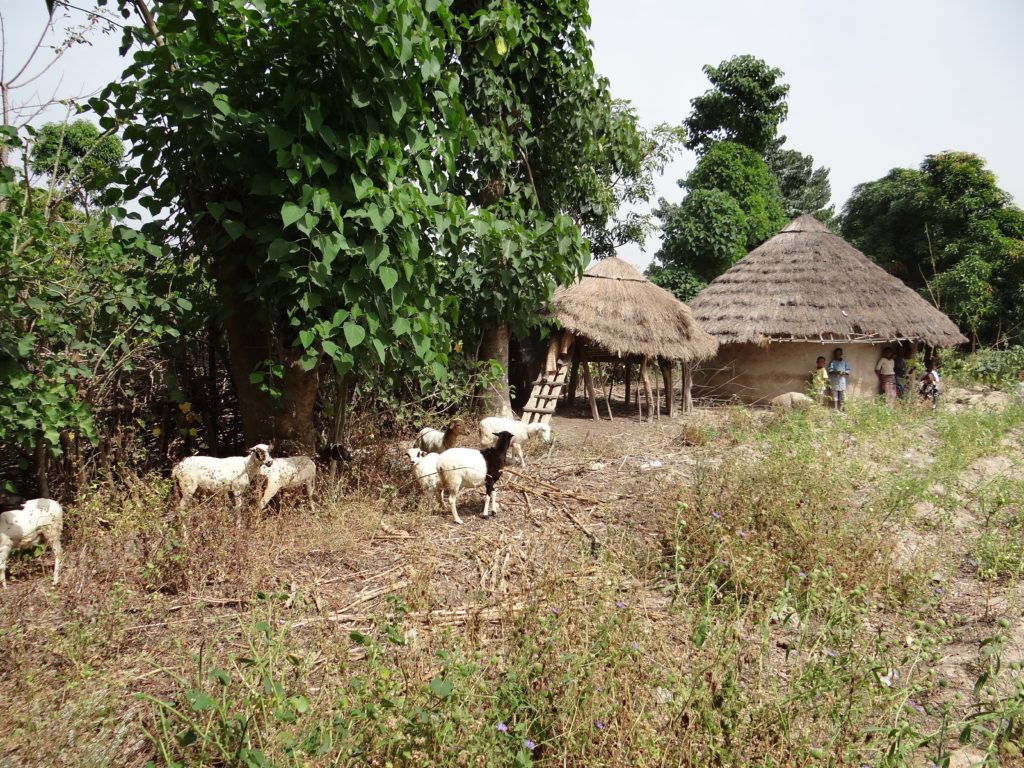 Bissikirima, village near Dabola