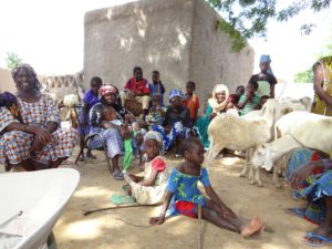 Women gathering at Niono, Mali