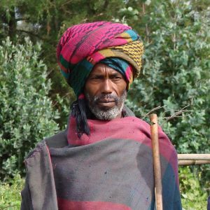 Ethiopian Highland Shepherd