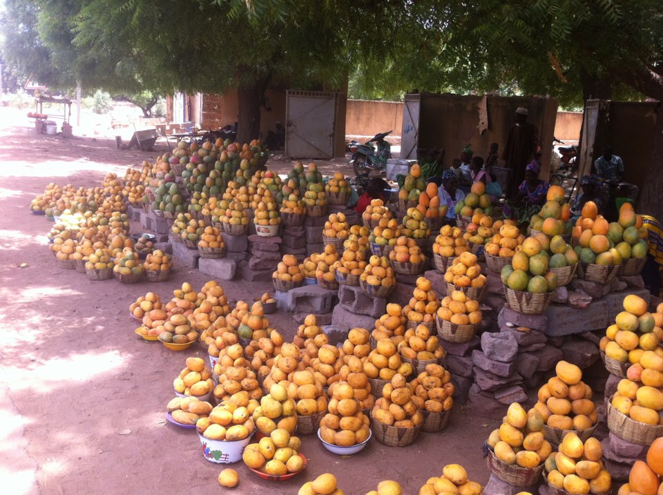 Height of mango season, Mali, W. Africa 