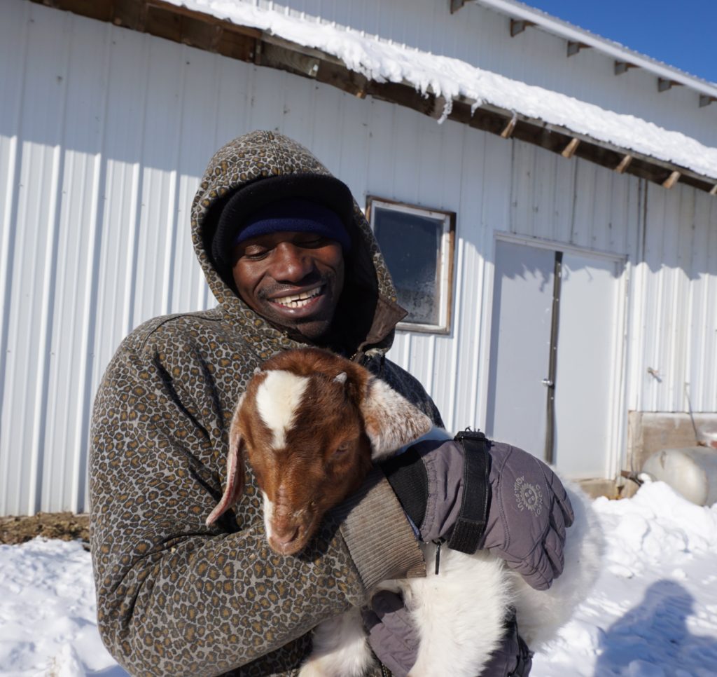 Farm visitor with goat kid