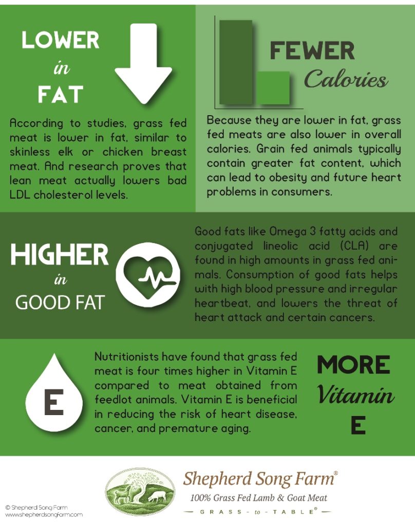 Health Benefits of Grass Fed Meats Infographic