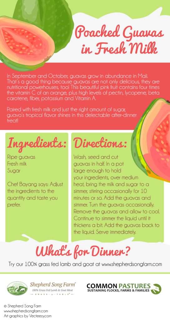 Guavas in Fresh Milk (Infographic)