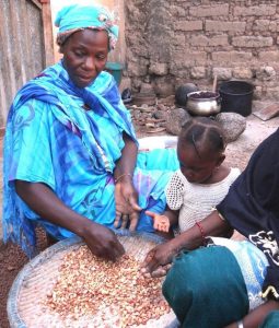 Sorting Groundnuts Kalana, Mali