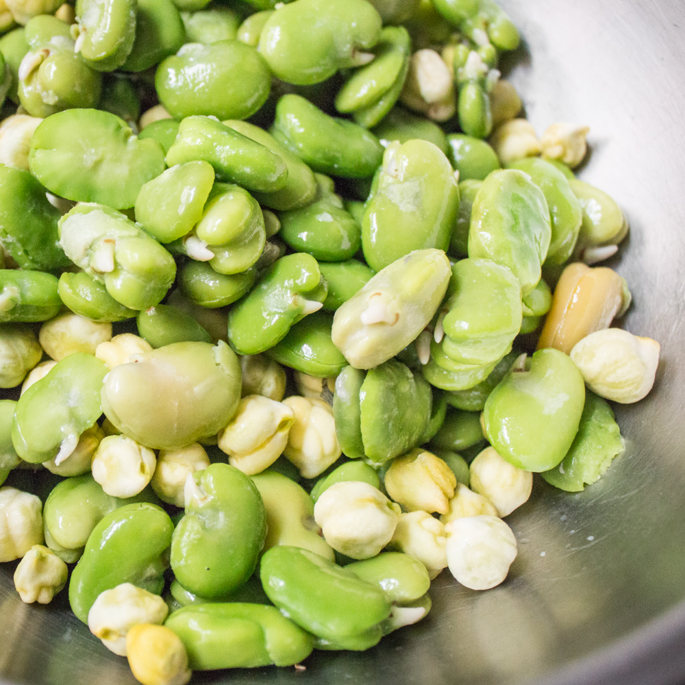Close up picture of fava beans and green chickpeas.