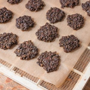 Dried lamb liver patty treat for dogs