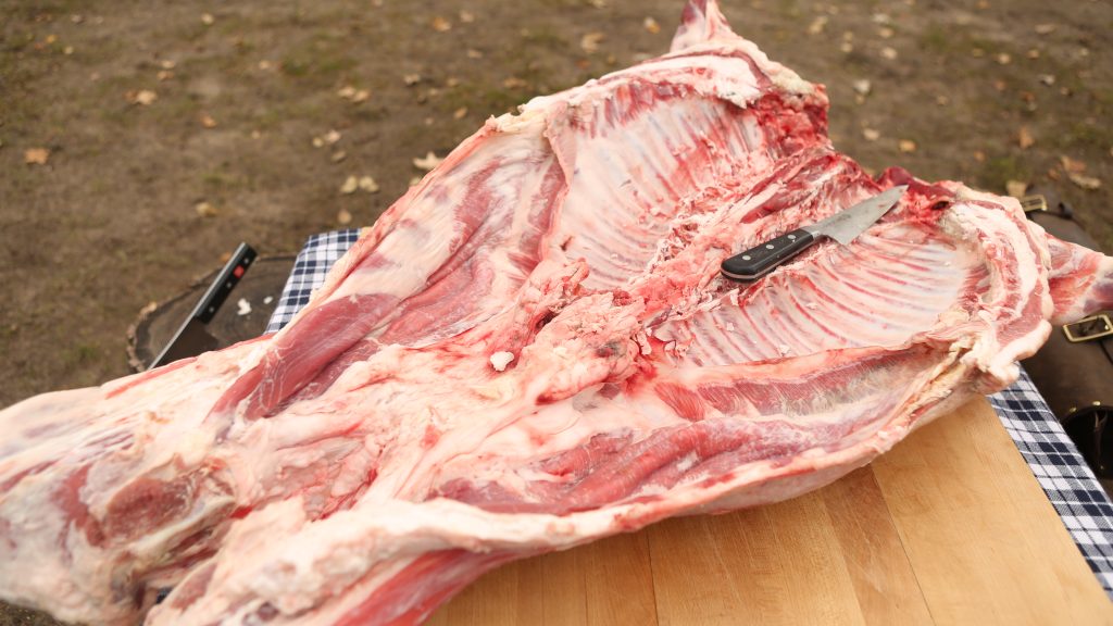 Cutting open the ribcage of a whole lamb to prepare it for asador cooking.