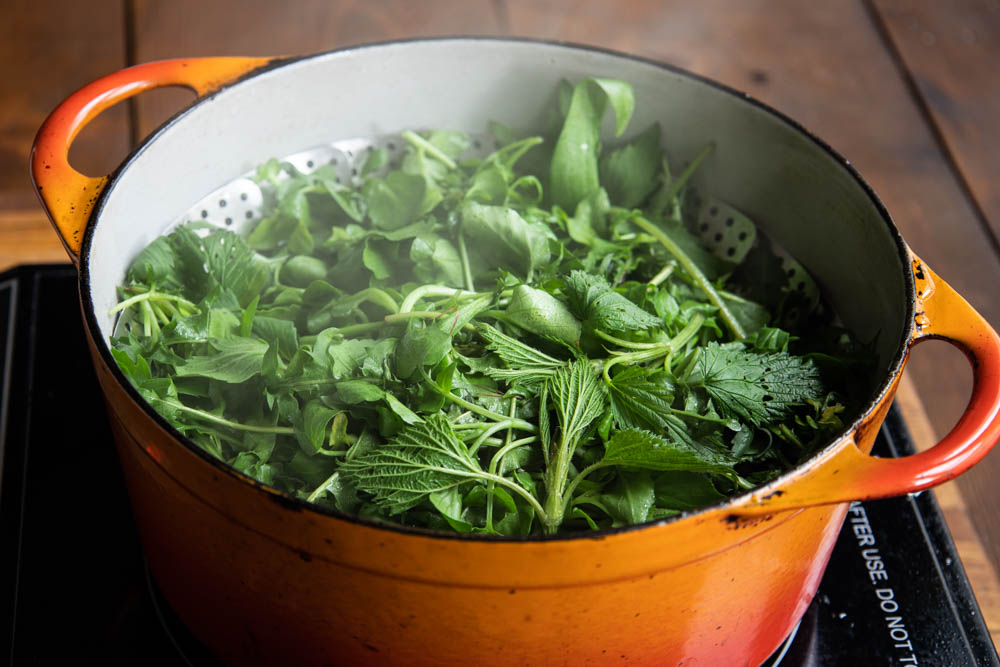 Steaming foraged greens