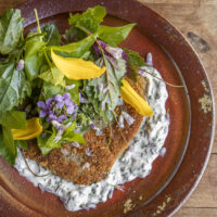 Lamb Milanese with lambs quarters salad and pickled ramp aioli