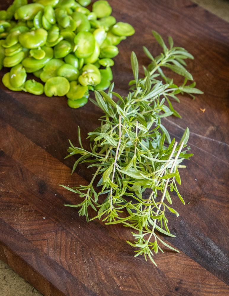 Summer savory and fava beans